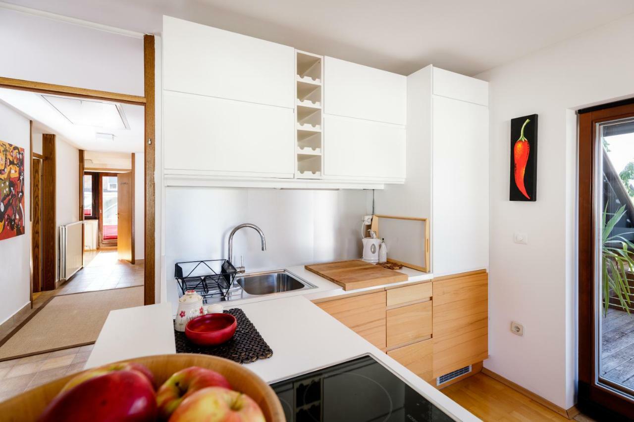Cosy & Spacious Apt. Benc Жировница Экстерьер фото
